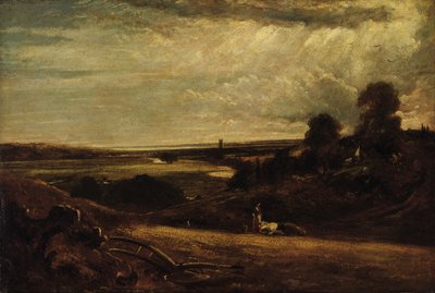 Dedham Vale - Letní ráno, 19. století. od Unbekannt