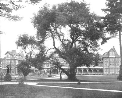 Del Monte, Monterey, Kalifornie, USA, c1900. od Unbekannt