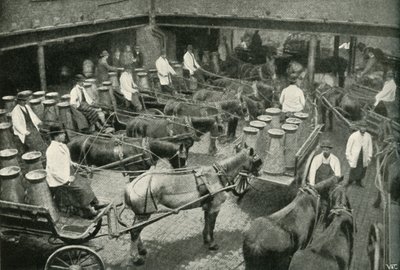 Dodávky počínaje Messrs, Freeth a Pococks Central Depot ve Vauxhallu, 1902. od Unbekannt