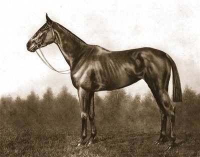 Demure, 1911. od Unbekannt
