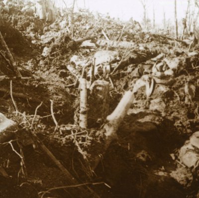 Zničený kryt, Les Éparges, severní Francie, 1915. od Unbekannt