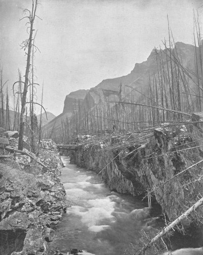 Devils Canyon, Banff, North West Territories, Kanada, c1900. od Unbekannt