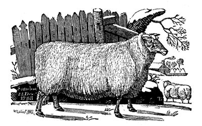 Ovce Dishley New Leicester, 1811 od Unbekannt