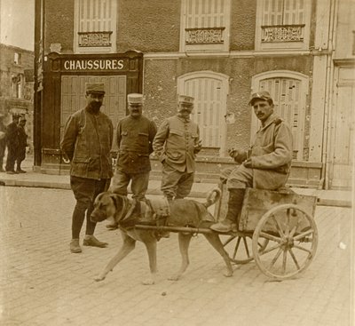 Psí vozík, Francie, c1914-c1918 od Unbekannt