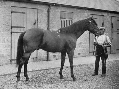 Donovan, 1886-1905, 1911 od Unbekannt