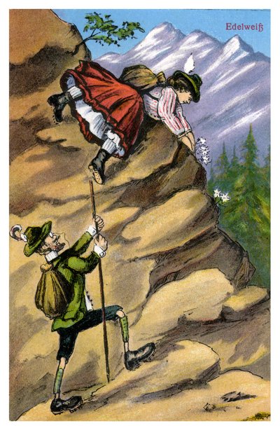 Edelweiss, konec 19. nebo začátek 20. století od Unbekannt