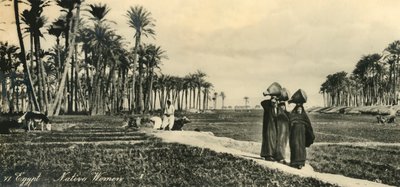 Egypt – domorodé ženy, c1918-c1939. od Unbekannt