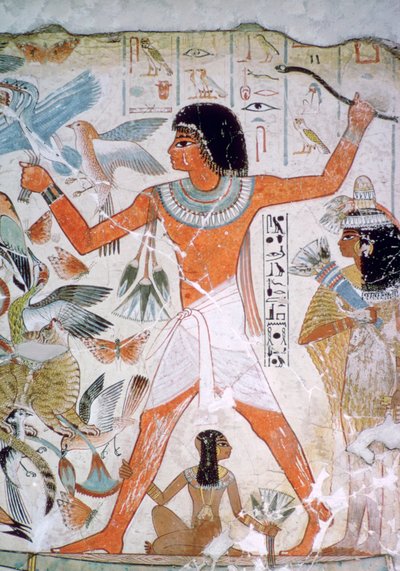 Egyptská nástěnná malba drůbeže od Unbekannt