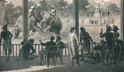 Sloní boj na Barodě, 1896 od Unbekannt