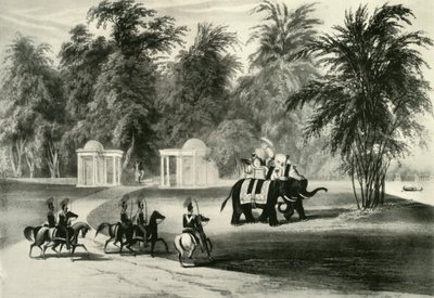 Sloni a tělesná stráž v parku Barrackpore, 1820, 1925. od Unbekannt