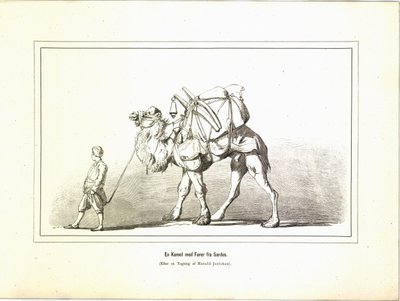 Velbloud s vůdcem ze Sardis. Ilustrace převzata z knihy Různorodé obrázky cestovatelů od Jerichau-Baumanna, Elisabeth a vydané nakladatelstvím Forlagsbureauet (Kodaň, 1881) od Unbekannt