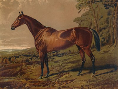 Fair Nell, c1879. od Unbekannt