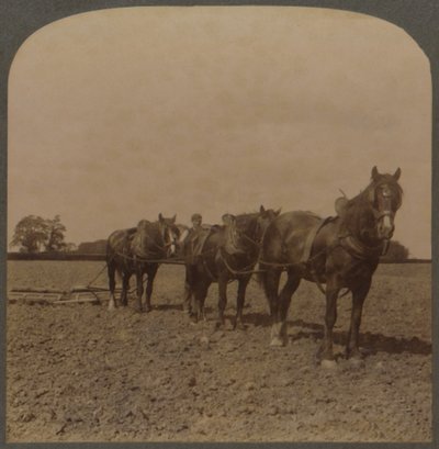 Farming in England - Harrowing the Land, 1909. od Unbekannt