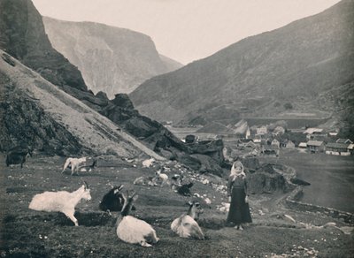 Flaam, 1914. od Unbekannt