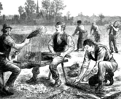 Vlnění lnu, c1880 od Unbekannt