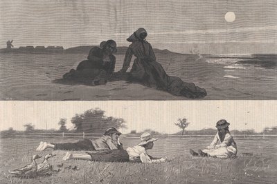 Flirtování na mořském pobřeží a na Meadow Harper