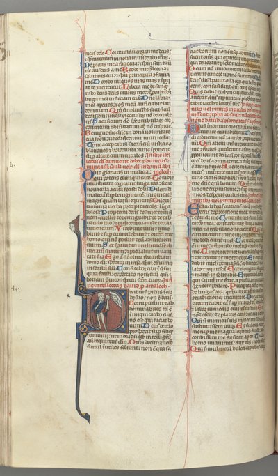 Fol. 222v, Žalm 52, historická iniciála D, blázen nahý, ale pro plášť, držící měchýř..., c. 1 od Unbekannt