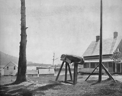 Fort Wrangel, Aljaška, c1897. od Unbekannt