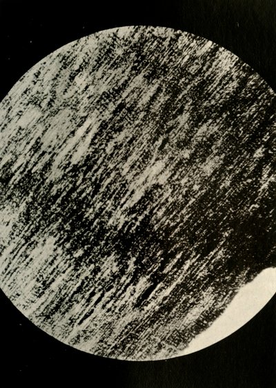 Fosilní dřevo v pískovci, z Morény v zeměpisné šířce 85° jižně, c1908, 1909. od Unbekannt