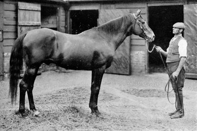 Foxhall, 1880-1904, 1911 od Unbekannt