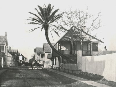 Francis Street, St Augustine, USA, 1895. od Unbekannt