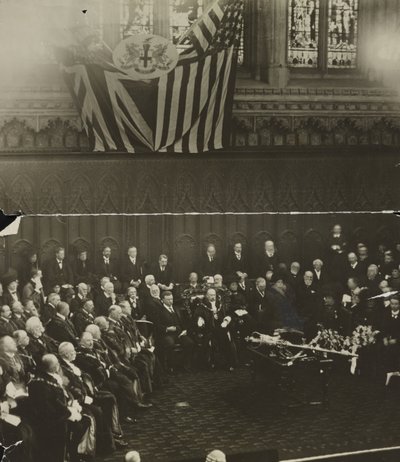 Freedom of the City of London udělená Theodoru Rooseveltovi v Guildhall v Londýně od Unbekannt
