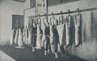 Mražené maso, 1910 od Unbekannt