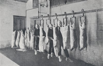 Mražené maso, 1923. od Unbekannt