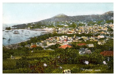 Funchal, Madeira, začátek 20. století od Unbekannt