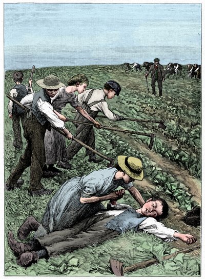Gangový systém dětské práce, c1885 od Unbekannt