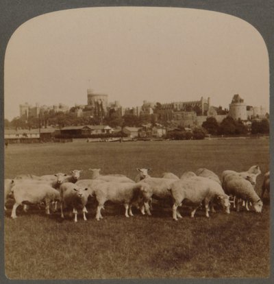 Obecný pohled na hrad Windsor, Anglie, 1896. od Unbekannt