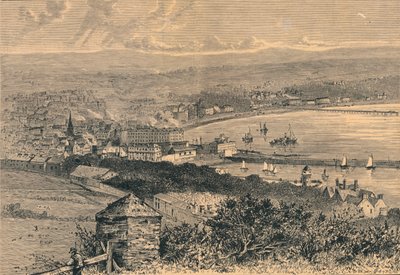 Celkový pohled na Douglas, 1880 od Unbekannt