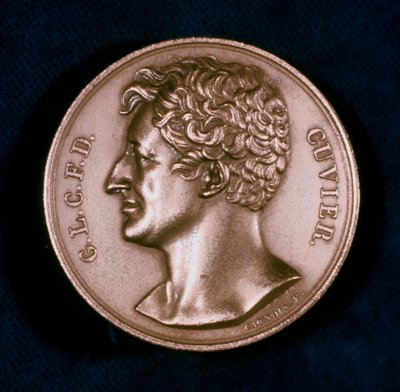 Georges Leopold Chretien Frederic Dagobert, baron Cuvier, francouzský anatom, 19. od Unbekannt
