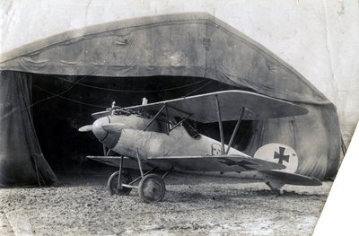 Německý Albatros DV, Souilly, Francie, 2. ledna 1918 od Unbekannt