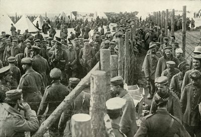 Němečtí vězni vstupující do klecí, 1919. od Unbekannt