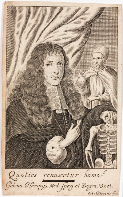 Gideon Harvey, anglický lékař od Unbekannt