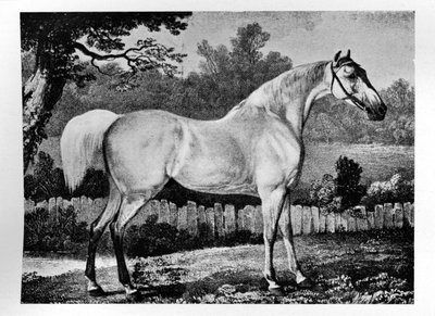 Gimcrack, 1760-1777, 1911 od Unbekannt