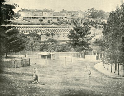 Gladesville Asylum for the Insane, New South Wales, 1901. od Unbekannt