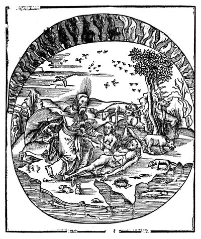 Bůh stvořil Evu z Adamova žebra, 1508 od Unbekannt