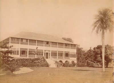 Government House, poblíž Kingstonu, Jamajka c20. století. od Unbekannt