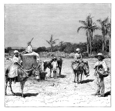 Skupina Haiťanů, c1890 od Unbekannt