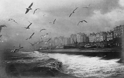 Rackové v Brightonu, East Sussex, počátek 20. století od Unbekannt