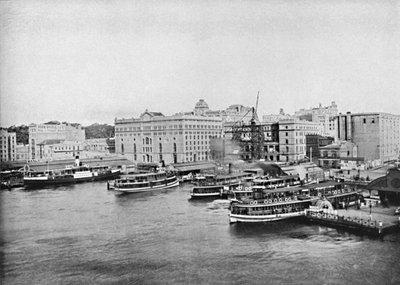 Přístavní trajekty na Circular Quay, c1900. od Unbekannt