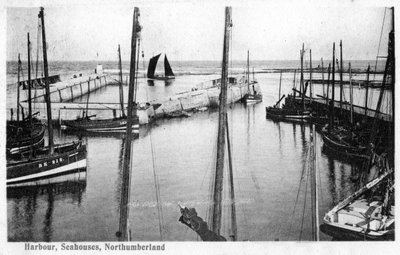 Harbour, Seahouses, Northumberland, 1905 od Unbekannt