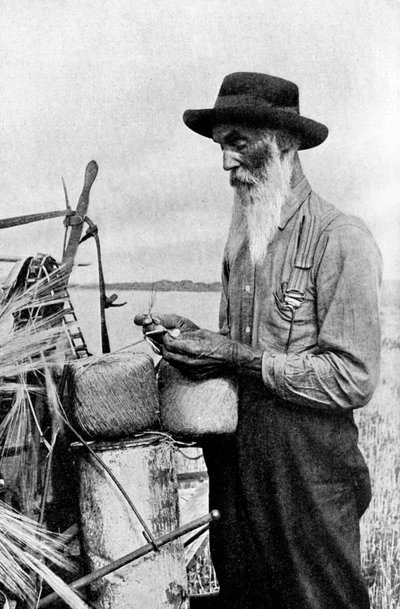 Doba sklizně v okrese Red River, Alberta, Kanada, 1922 od Unbekannt