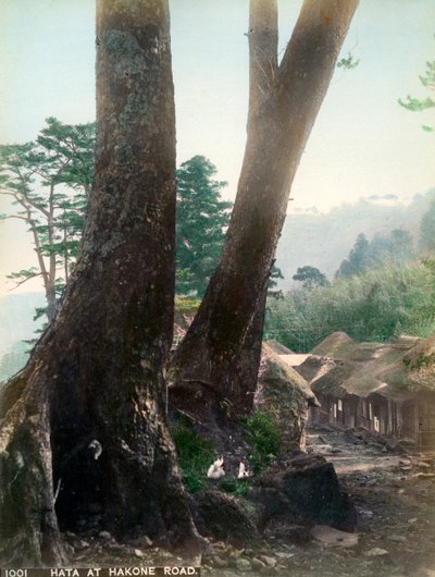 Hata na Hakone Road, Japonsko, počátek 20. století od Unbekannt
