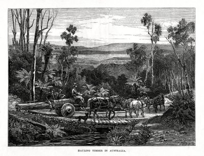 Odvoz dřeva, Austrálie, 1877 od Unbekannt