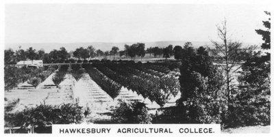 Hawkesbury Agricultural College, New South Wales, Austrálie, 1928 od Unbekannt