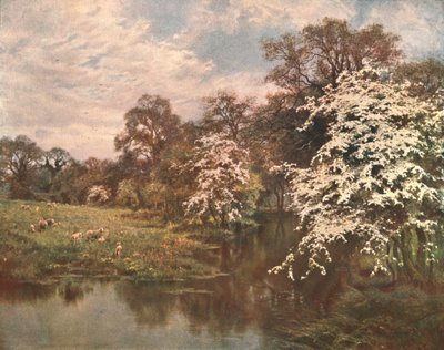 Hawthorn Blossoms, c1899, c1902. od Unbekannt