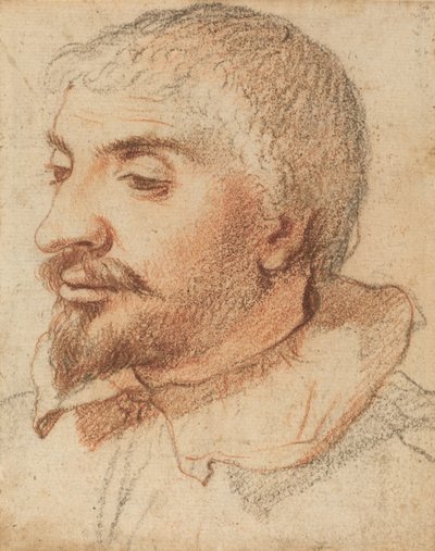 Hlava muže, c. 1600. od Unbekannt